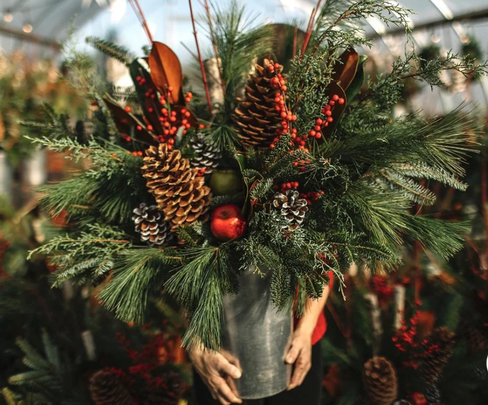 Outdoor Winter Planter Workshop - Nov 29