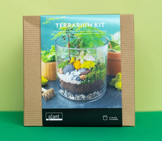 Small 4" Terrarium Workshop - January 10
