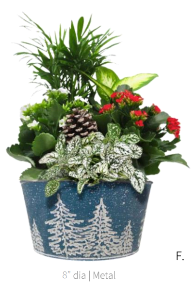 Pre-Order: Aspen Garden