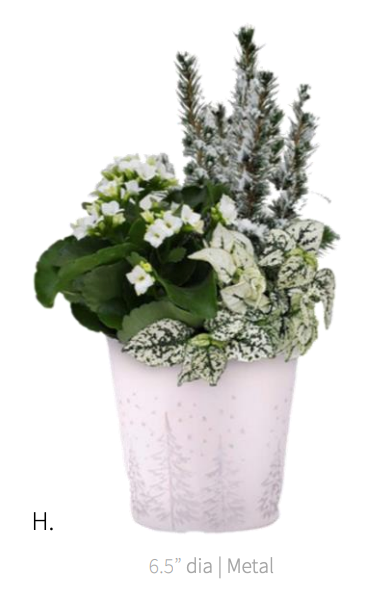 Pre-Order: Blizzard Garden