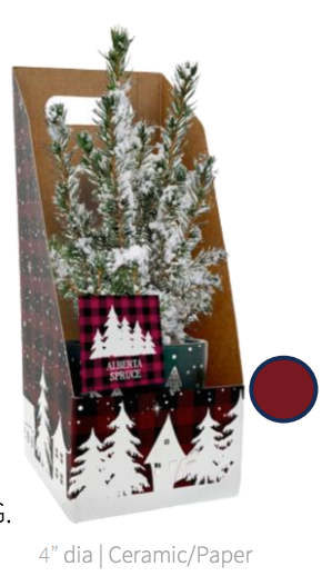 Pre-Order: Colorado Tree