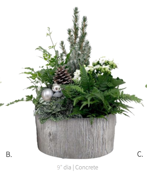 Pre-Order: Greywood Garden