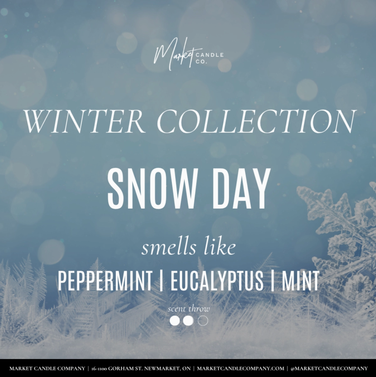 SNOW DAY HAND & BODY LOTION