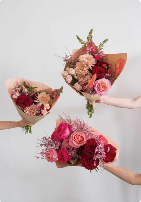 Designer's Choice Bundle