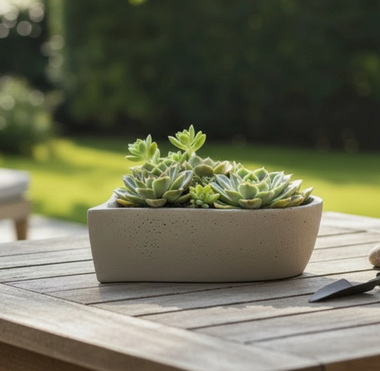 Succulent Heart Workshop - April 4