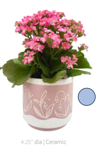 Pre-Order: Bluebells Garden