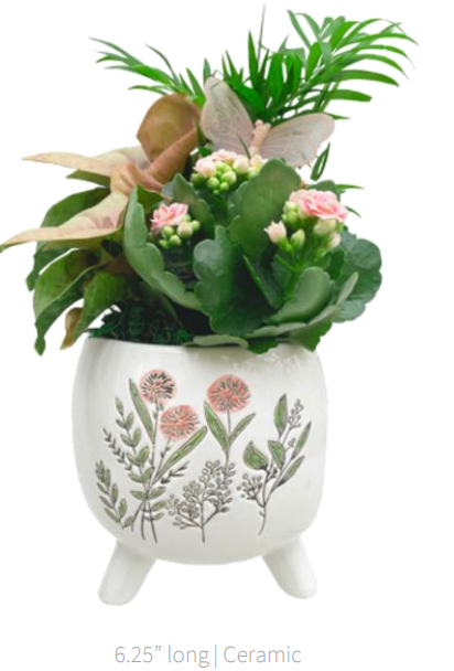 Pre-Order: Botanica Garden