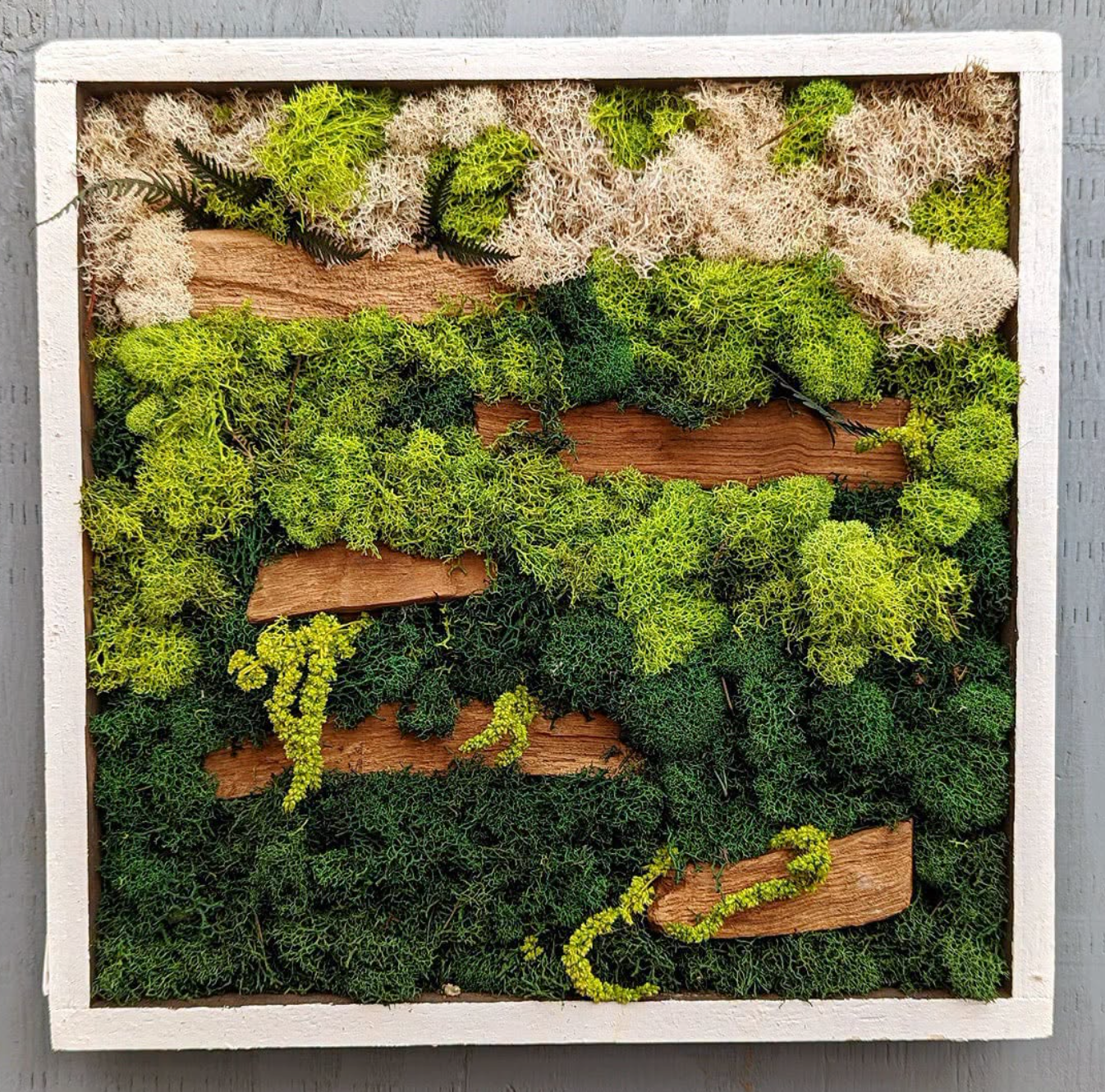Moss Art
