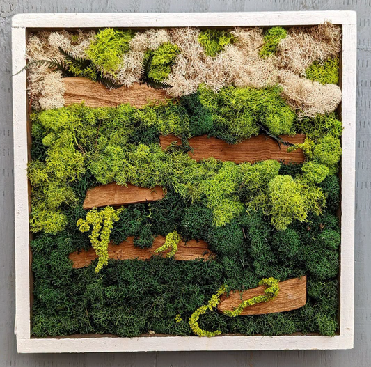 Moss Art