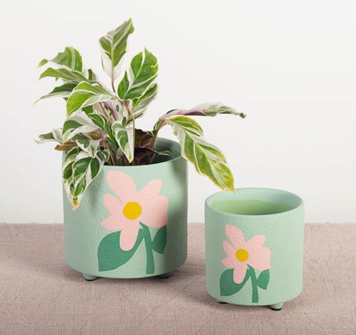 Terracotta Flower Pot, Pink Flower