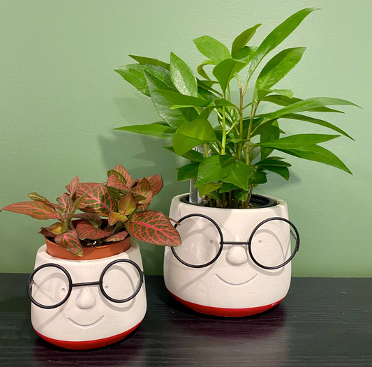 "Face With Glasses" Planter