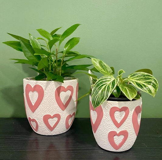Heart Planter