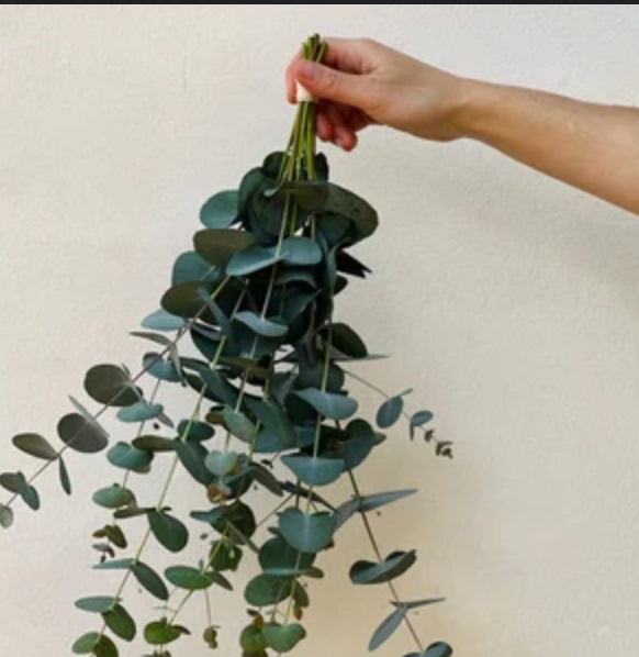 Luxury Shower Bundle