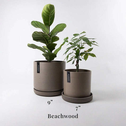 Beachwood Planters