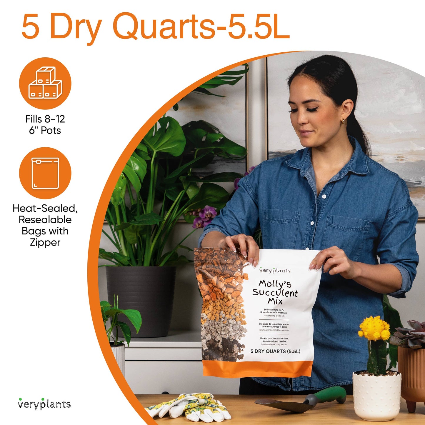 Molly's Succulent Mix - Premium Gritty Soilless Potting Mix