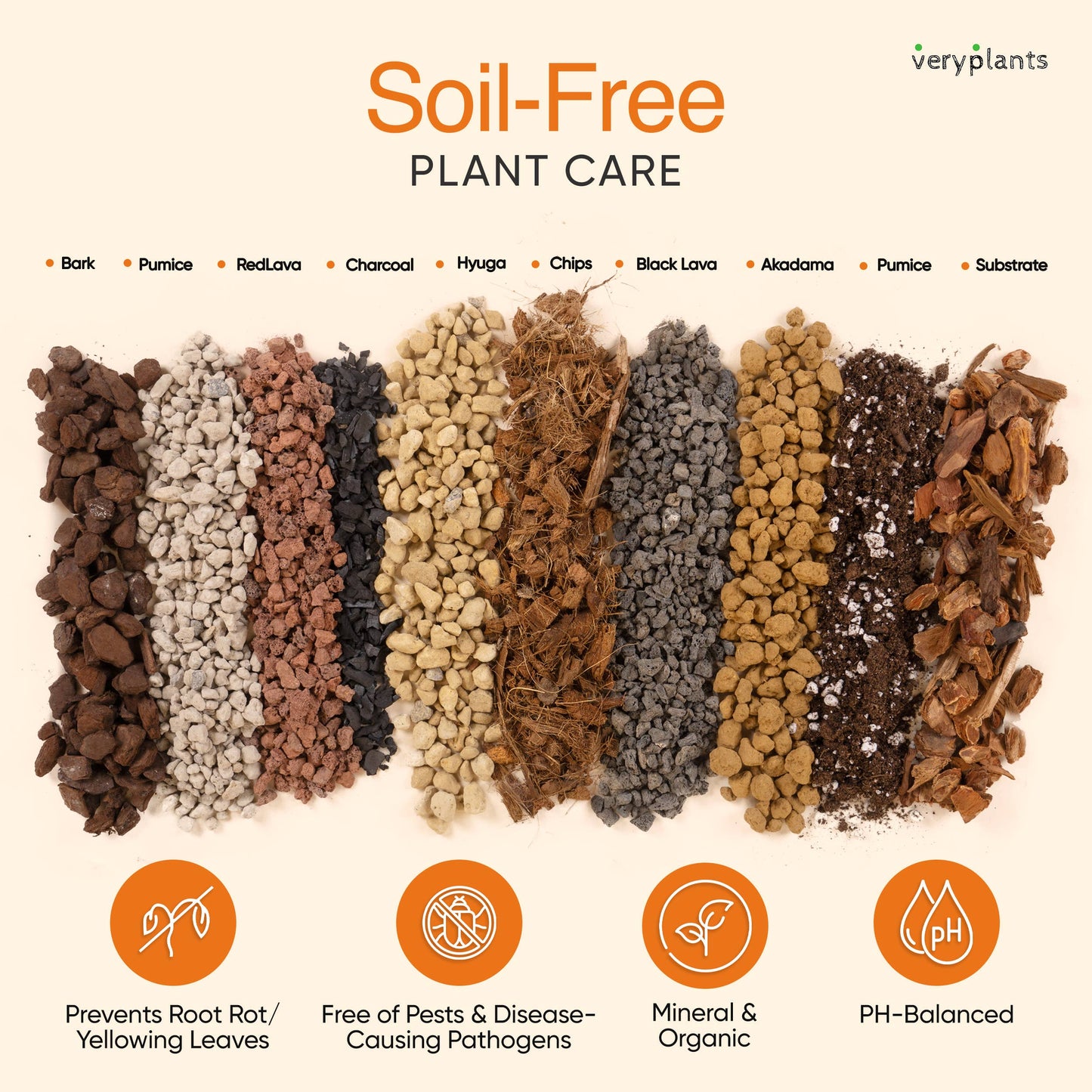 Molly's Succulent Mix - Premium Gritty Soilless Potting Mix