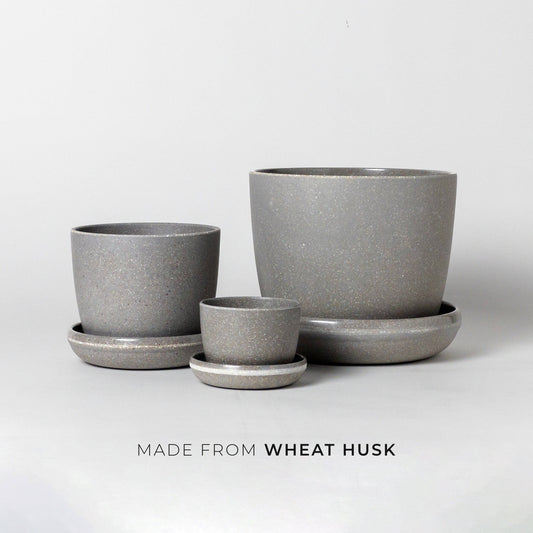 Natural Upcycled Planters - Wheat Husk